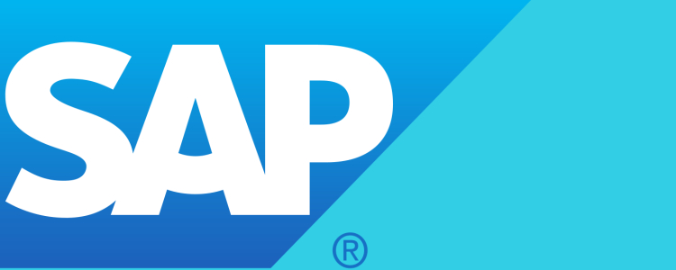 sap erp